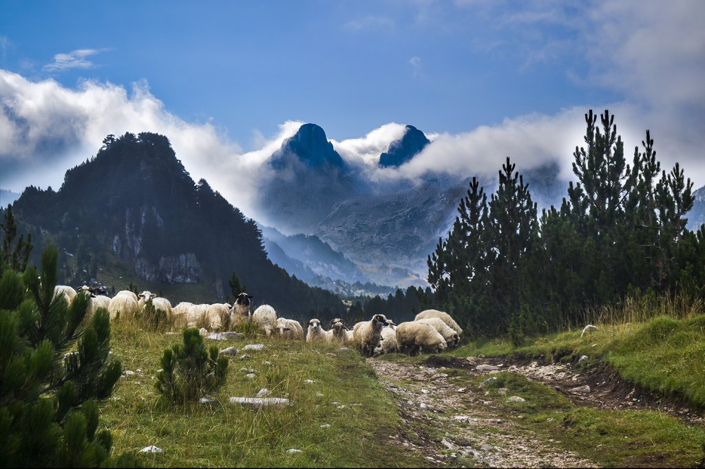 Bosna i Hercegovina